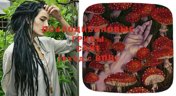 ECSTASY Армянск