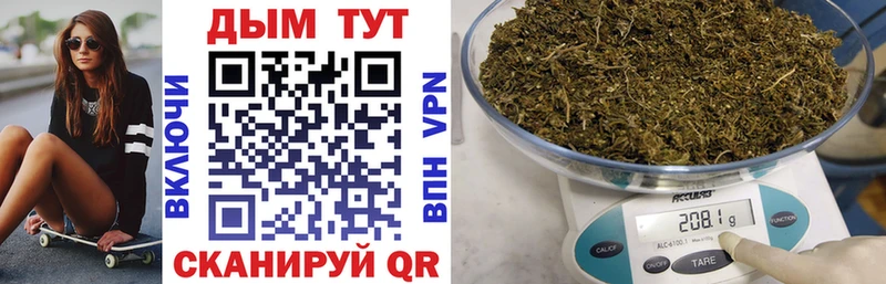 Бошки Шишки планчик  Купить закладки  Нововоронеж 